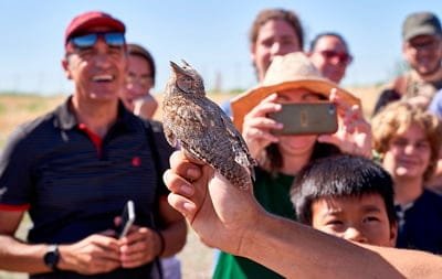 chico-mendes chico-mendes