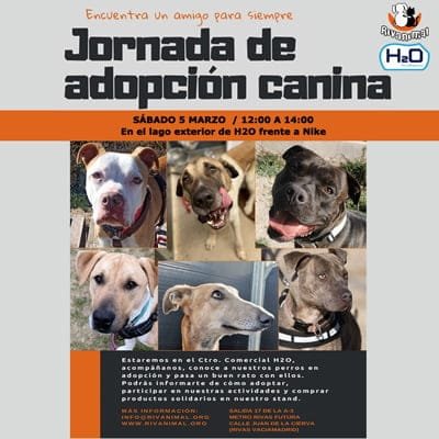 adopcion-5-marzo-2022 adopcion-5-marzo-2022