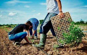 UE reduce emisiones del CO2