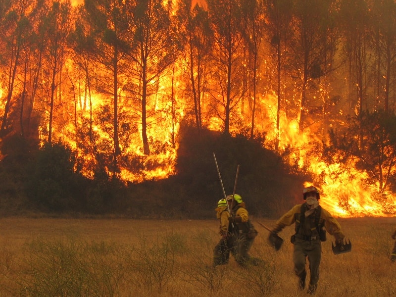 Brigadistas forestales trabajan ante un incendio forestal | Foto: Miteco