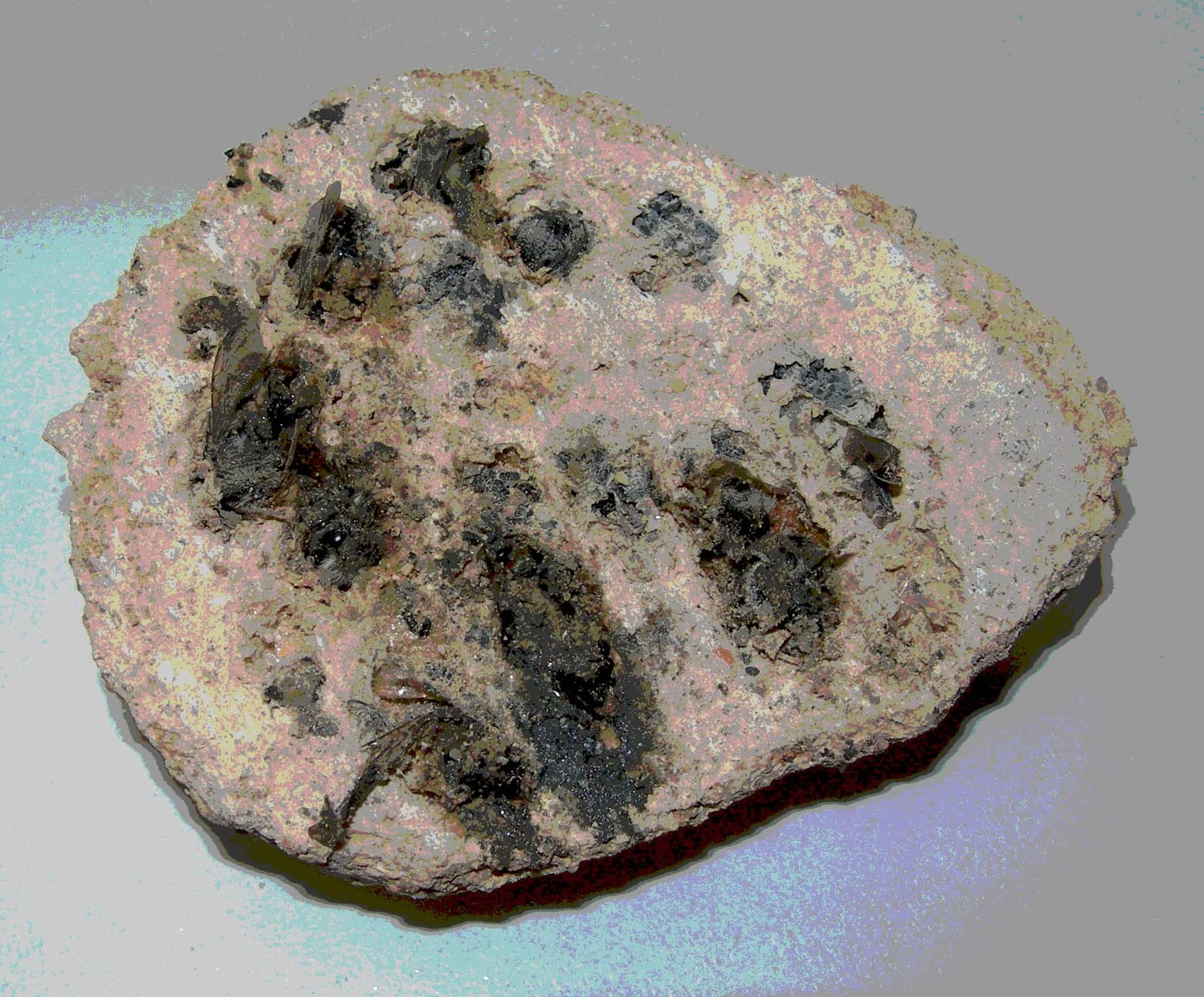 Imagen La Sangre Hierve Capítulo 50 (1)