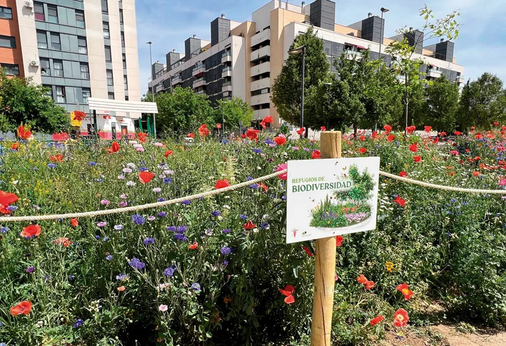 Rivas 2030: Conoce los proyectos de la Agenda Urbana para 2026