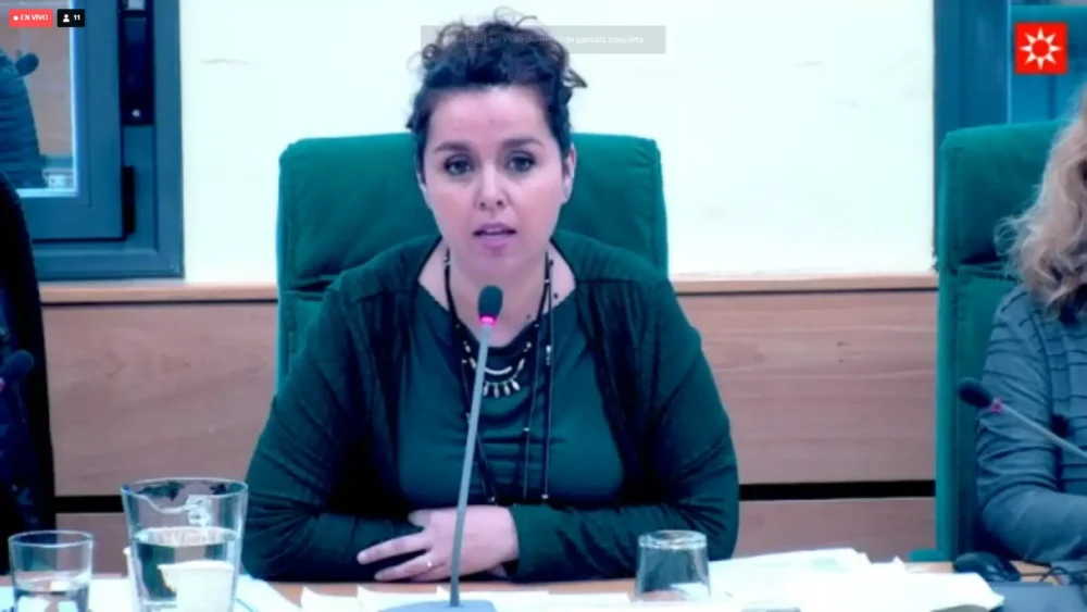 Mónica Carazo en el pleno de enero