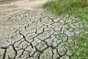 Estrasburgo condena a Suiza por inacción climática