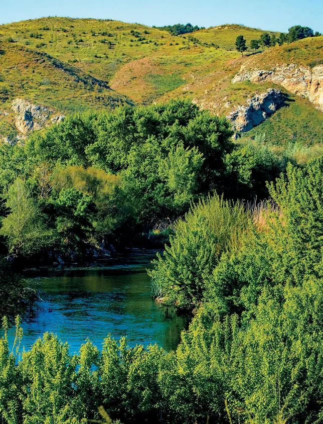 Agenda Urbana: Rivas apuesta por el turismo