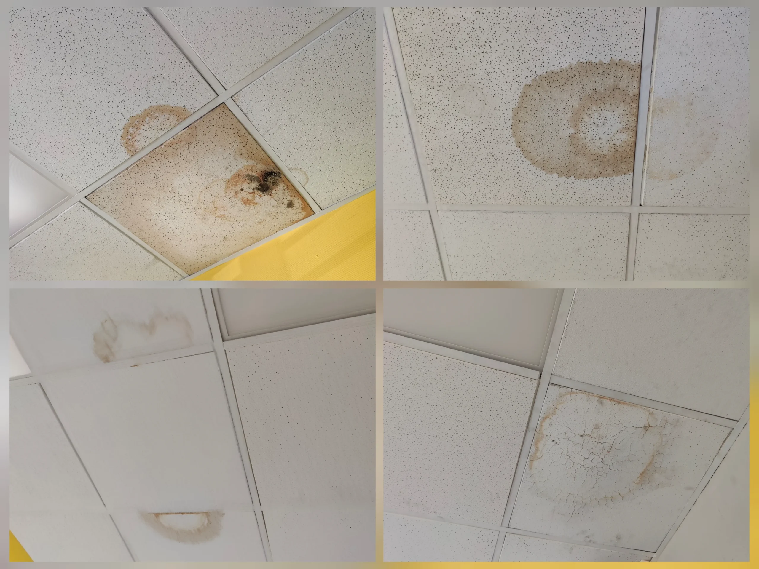 Rivas con la Sanida Pública denuncia humedades