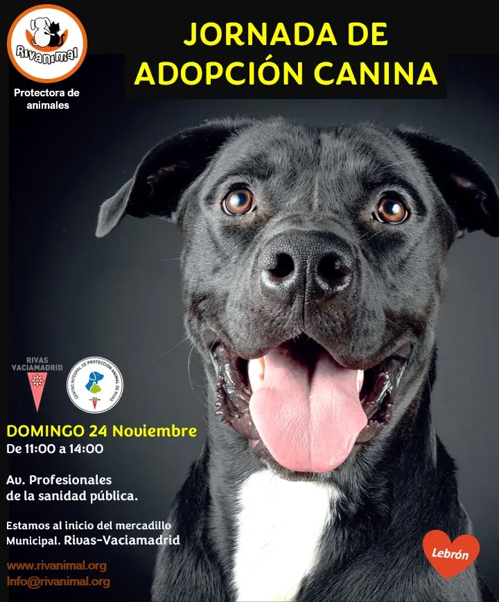 Jornada de Adopción de Rivanimal del 24 de noviembre de 2024.