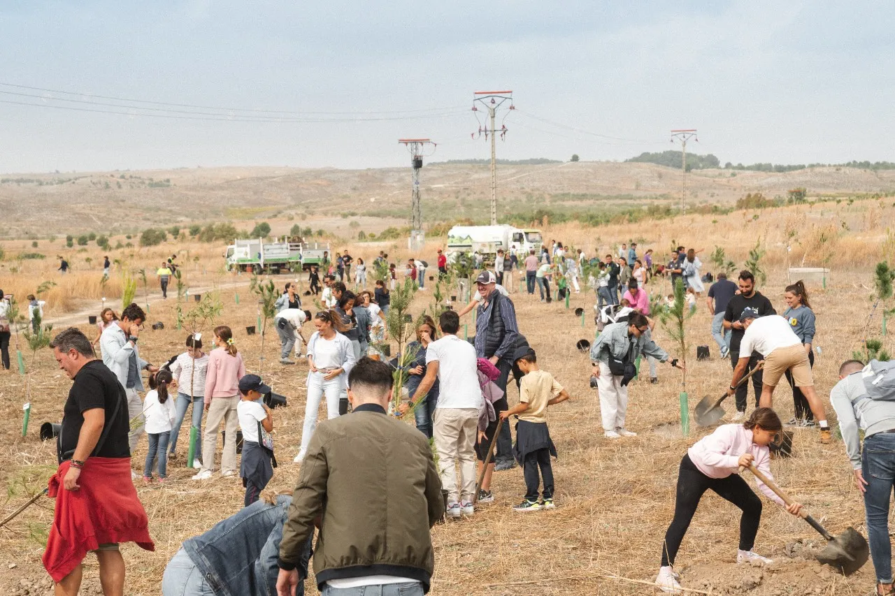 Plantación Bosque Scania 2024 Scania planta 250 nuevos árboles en Rivas