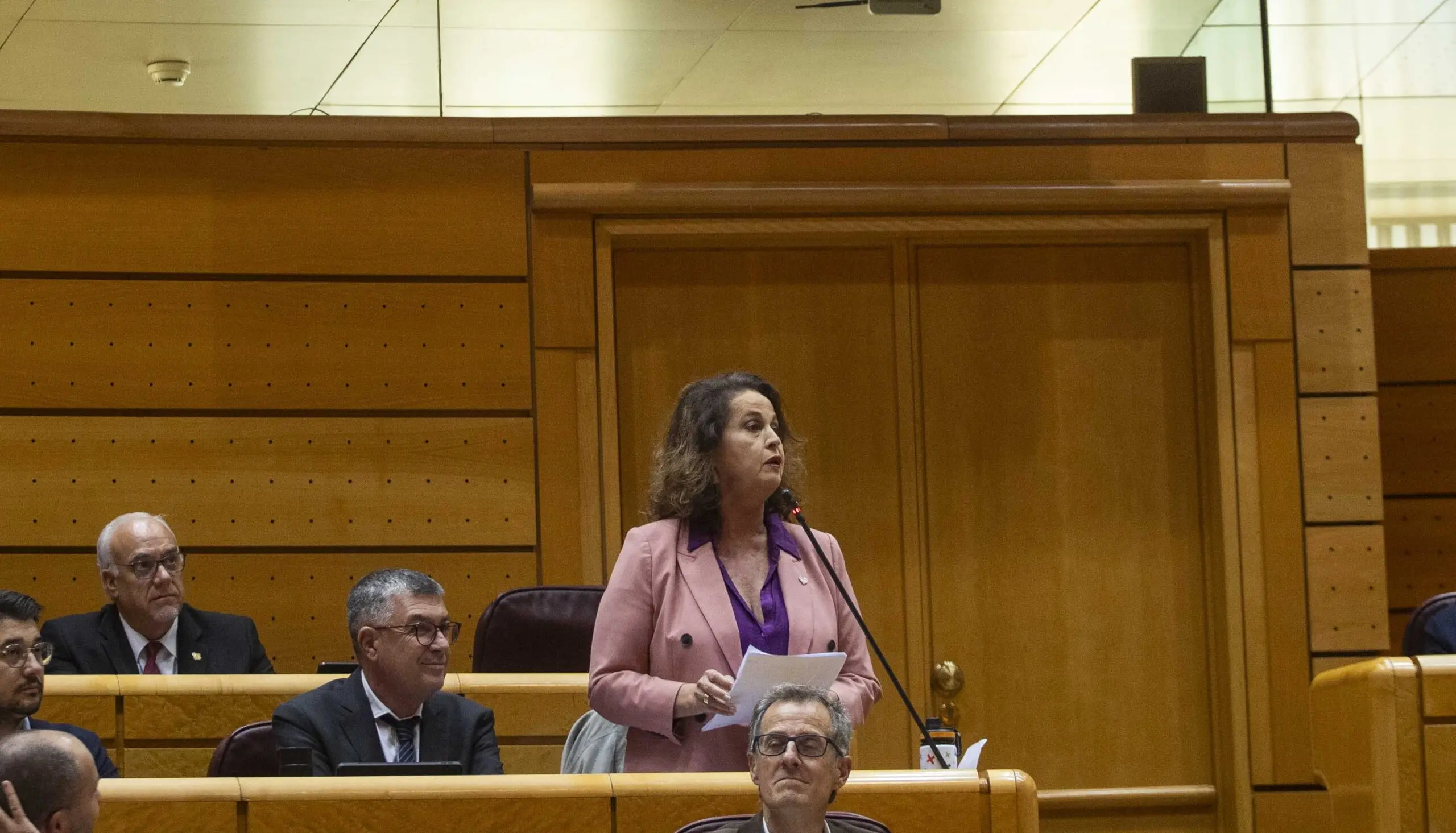Senado-22_10_2024_8-1-scaled Carla Antonelli de Más Madrid apoya a las mujeres afganas en el Senado.