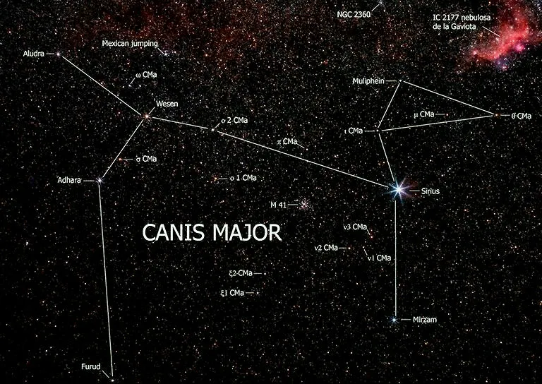 El “Can Mayor”, el perro fiel de Orión (II)