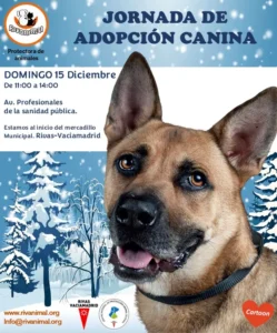 Jornada de Adopción Canina en Rivas este 15 de diciembre