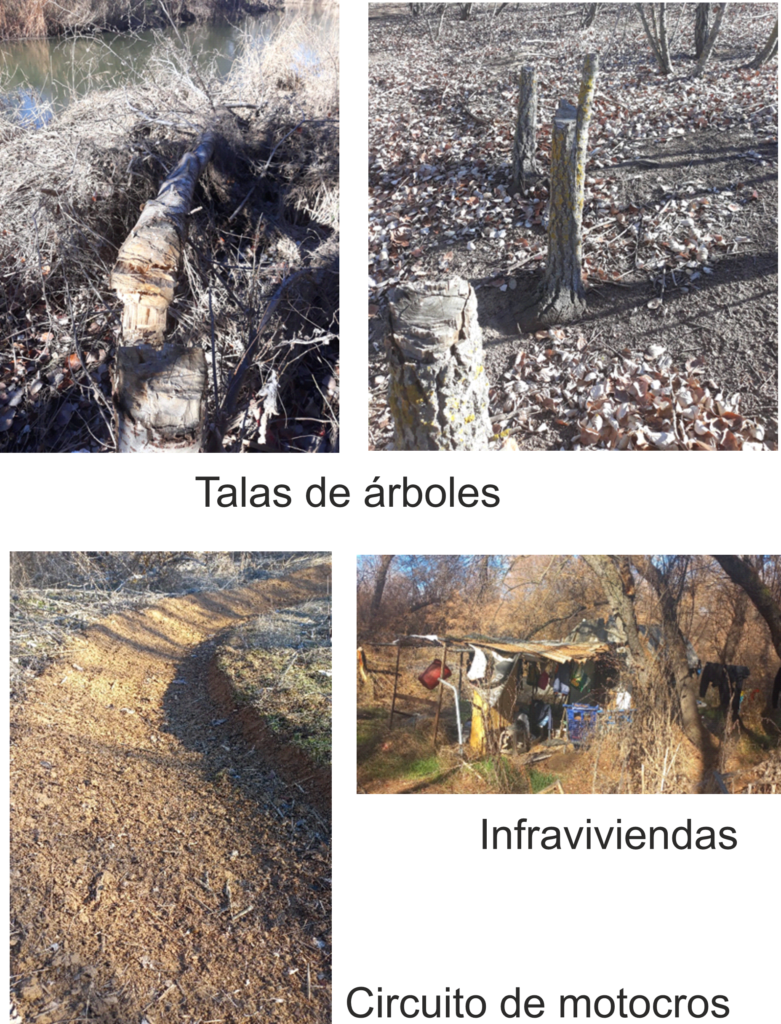 El Parque del Sureste sufre afecciones en la zona del Soto de Aldovea.