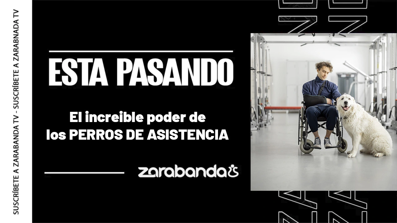 ESTA-PASANDO-PERROS-ASISTENCIA