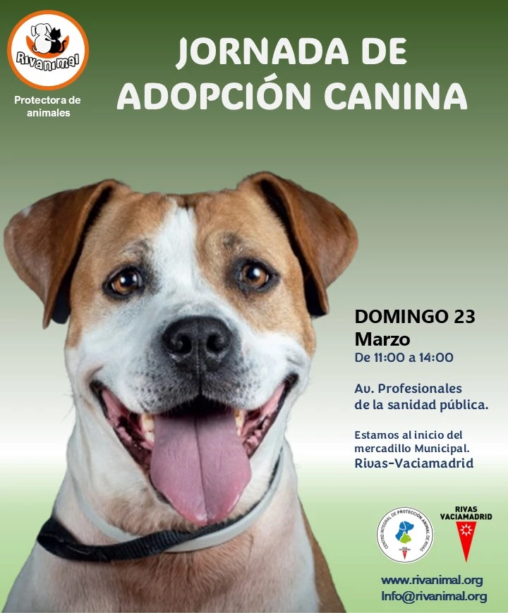 Evento-canino-23mar25 Jornada de adopción canina