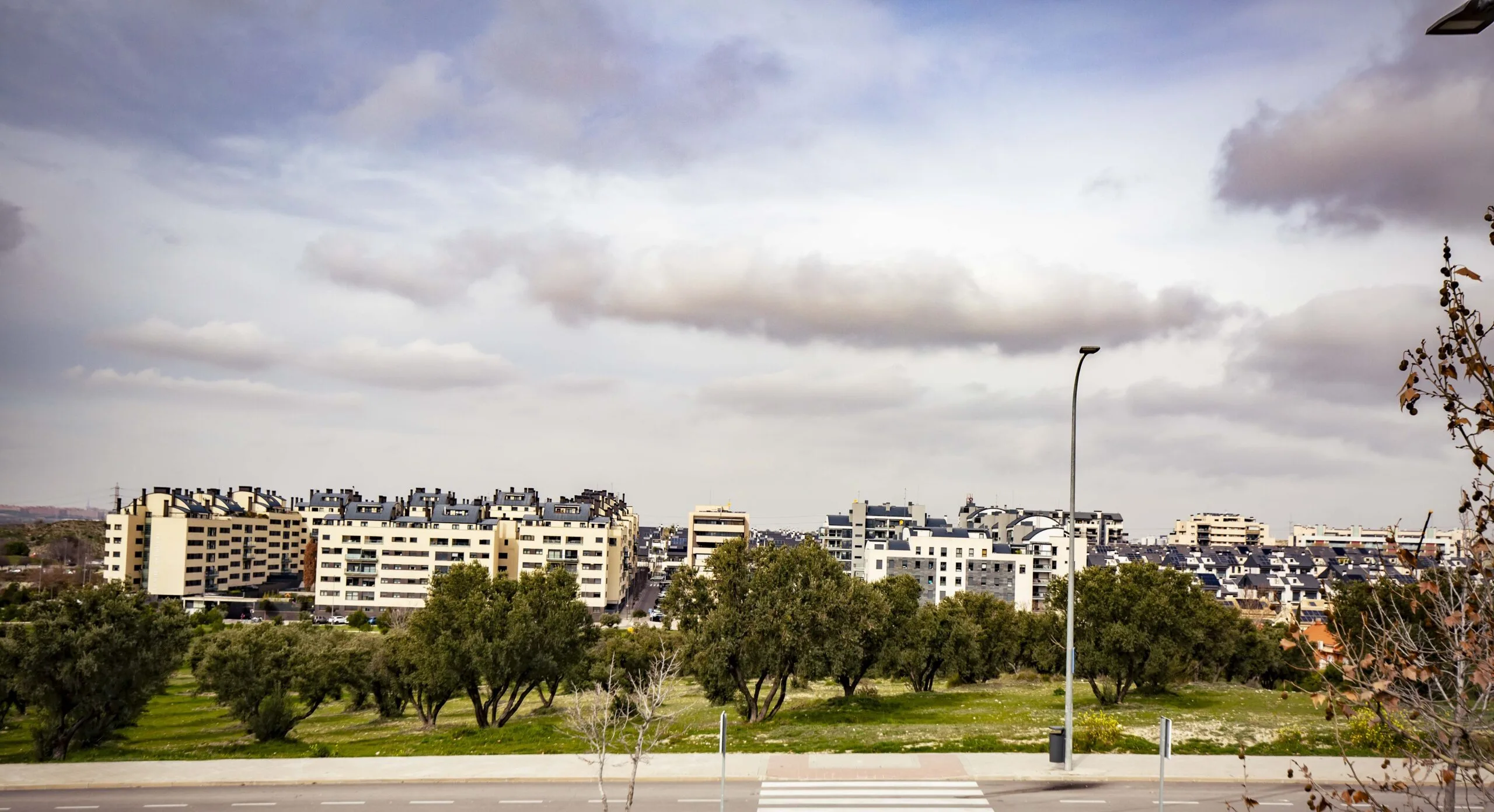 OLIVAR-RENATURA-RIVAS-scaled OLIVAR-RENATURA-RIVAS-scaled