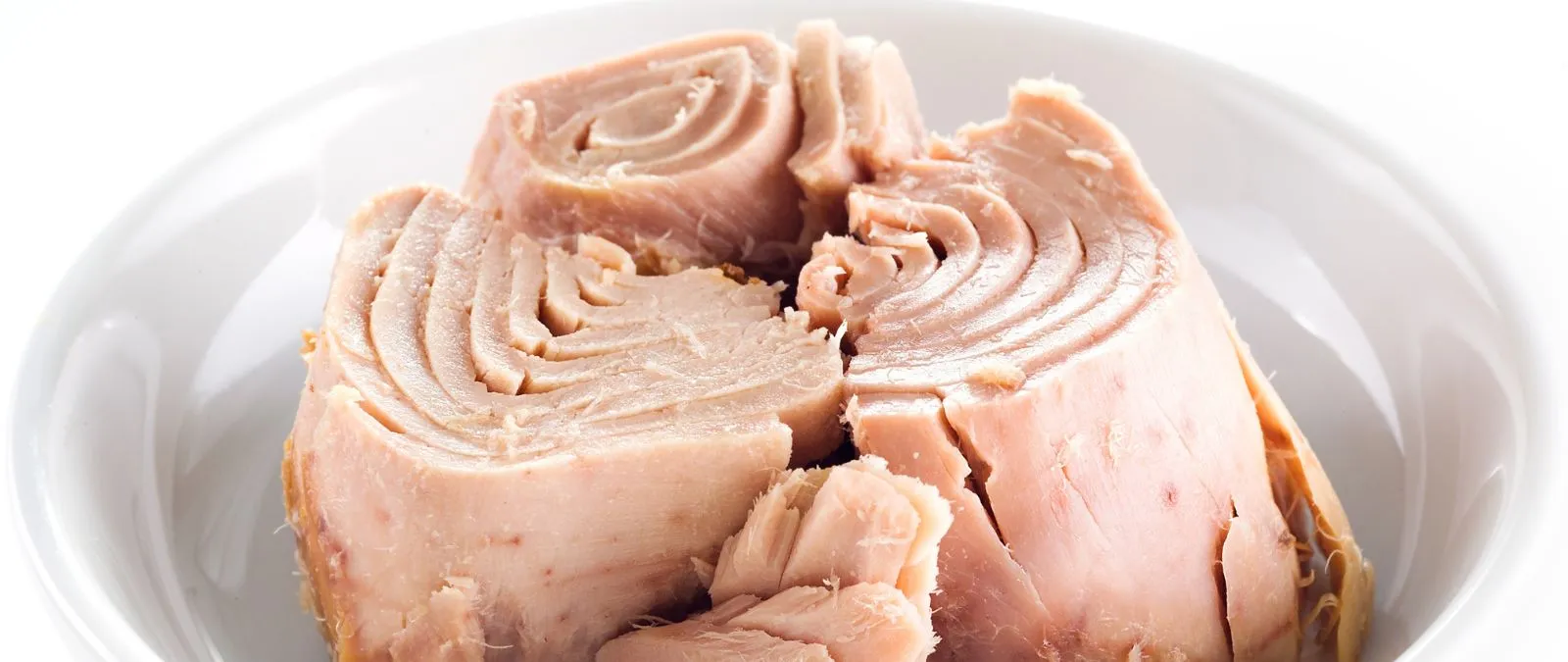 agencia-alimenta-pescado-mercurio-atun aunque es seguro comer atún, atento a las recomendaciones sobre acumulación de metales pesados