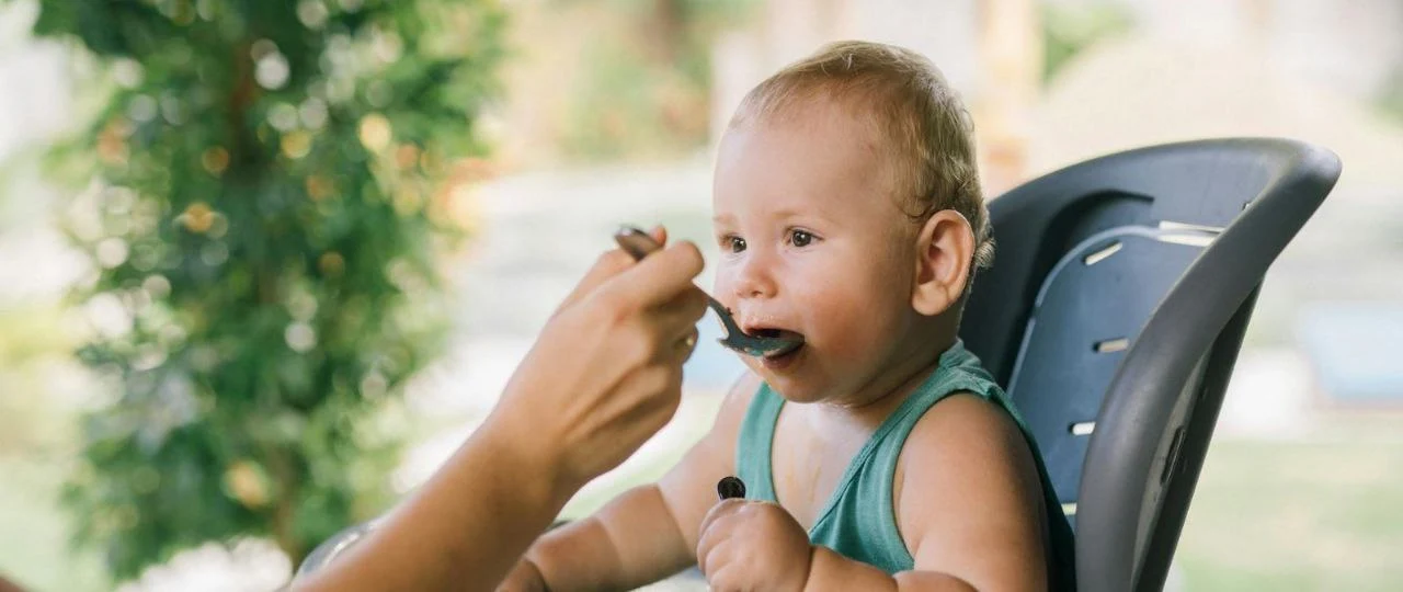 recomendacion alimento bebes saludables