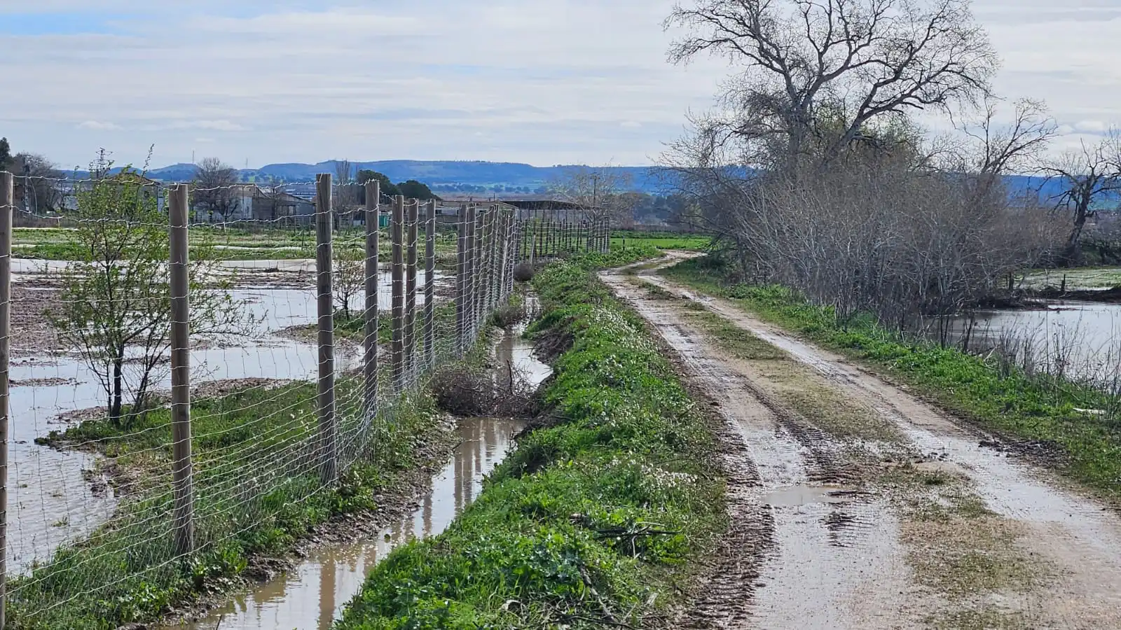 rivas-laguna-del-campillo