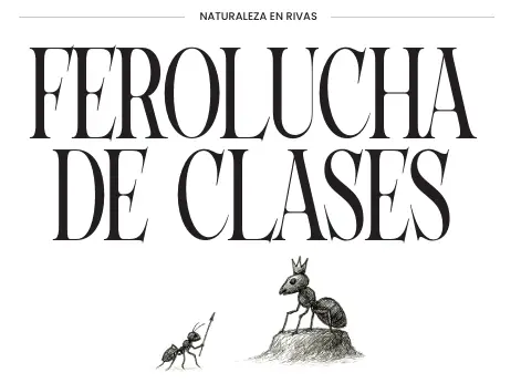 Artículo de López Colón para la sección de Naturaleza en Rivas de la Revista Zarabanda, número de abril de 2025.