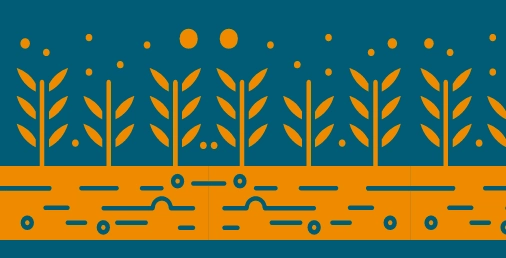 abrazo del oso (2) (1) Las plantas fijadoras de nitrógeno y los retos de la agricultura