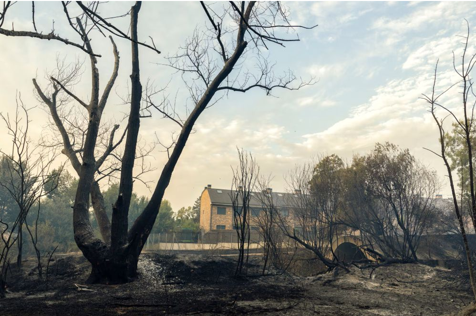 Árboles quemados y tierra calcinada en primer plano, con una casa de ladrillos amarillos y un cielo despejado con nubes dispersas al fondo, ponen de relieve la importancia de la autoprotección frente a incendios cerca de edificaciones Comunidad de Madrid. Árboles quemados y tierra calcinada en primer plano, con una casa de ladrillos amarillos y un cielo despejado con nubes dispersas al fondo, ponen de relieve la importancia de la autoprotección frente a incendios cerca de edificaciones Comunidad de Madrid.