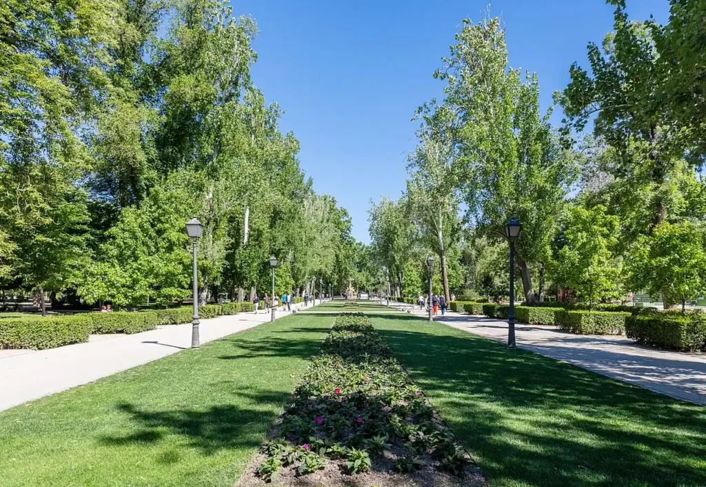 Un camino ancho y accesible bordeado de altos árboles verdes y farolas atraviesa el parque de El Retiro bajo un cielo azul despejado. Un parterre adorna la zona de césped, mientras la gente pasea a lo lejos, disfrutando del compromiso de FAMMA con la accesibilidad.