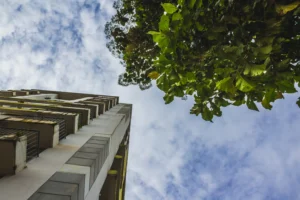 Una vista desde un ángulo bajo de un edificio alto con balcones a la izquierda y un frondoso árbol verde a la derecha, sobre un cielo azul parcialmente nublado, muestra la sostenibilidad arquitectónica en armonía con la naturaleza.