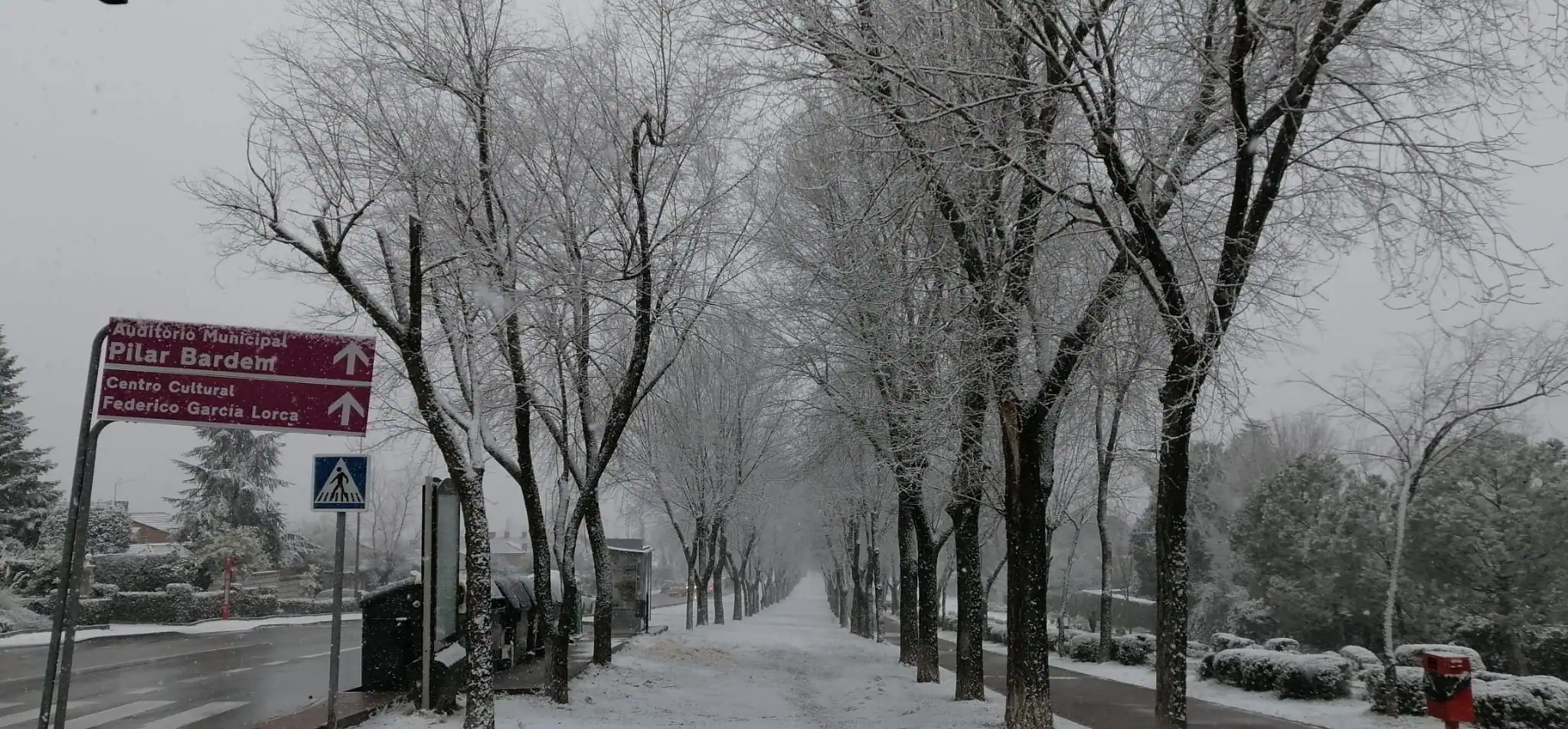 Una acera de Rivas está bordeada de árboles sin hojas cubiertos de nieve en un día nublado. La nieve cubre el suelo y las ramas tras las últimas nevadas. Una carretera discurre paralela al camino, con señales de tráfico de CECOPAL y un paso de peatones a la izquierda.