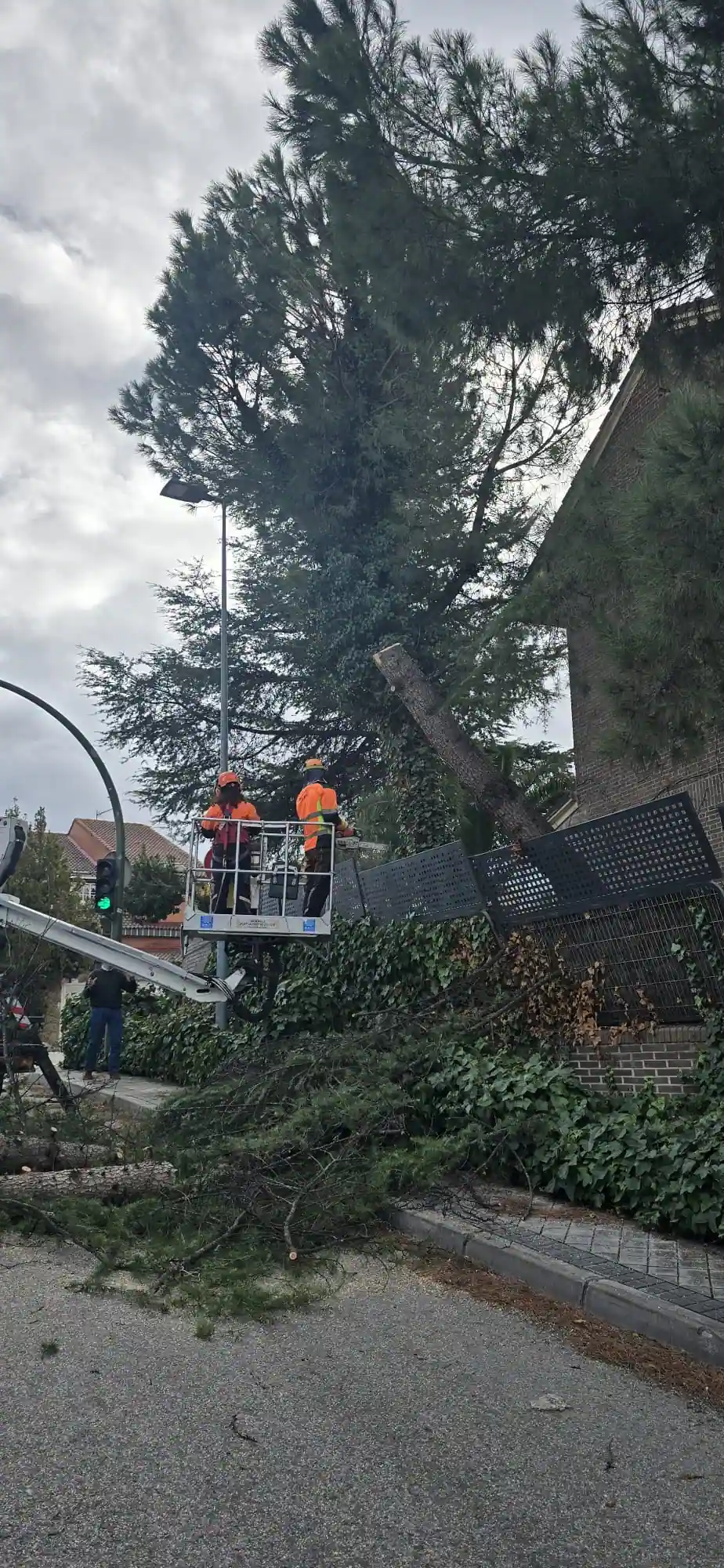 Trabajadores con equipo de seguridad subidos a un elevador junto a un gran árbol caído con la etiqueta «Borrador automático», que ha dañado la valla y una farola cercana. Otro trabajador permanece en el suelo. Trabajadores con equipo de seguridad subidos a un elevador junto a un gran árbol caído con la etiqueta "Borrador automático", que ha dañado la valla y una farola cercana. Otro trabajador permanece en el suelo.