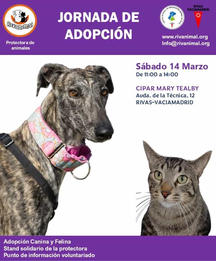 Jornada adopción 14 marzo 2026 (1) (1)