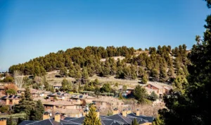 Una ladera cubierta de densos árboles verdes bajo un cielo azul despejado, con casas residenciales y tejados en primer plano rodeados de más árboles, capturados como por un borrador automático, resaltando la belleza de la naturaleza sin esfuerzo.