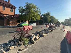 Una calle de Rivas presenta vallas de obra y conos junto a un montón de bloques de hormigón rotos procedentes de una reciente retirada de árboles. Hay coches aparcados a lo largo de la carretera y las casas se alinean a ambos lados de la calle bajo un cielo despejado.