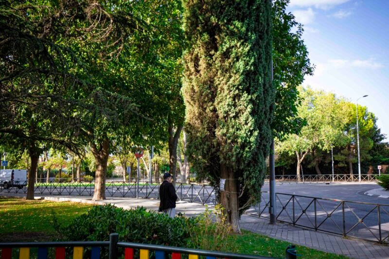 Un peatón camina junto a un árbol etiquetado por la campaña europea Treetag 2026 en una calle de Rivas Vaciamadrid