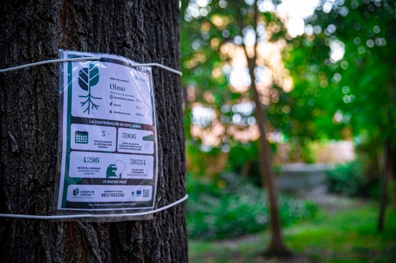 Detalle de la etiqueta informativa de la campaña EUTreetag en un olmo, con cifras como 4.286 kg de CO2 eliminado del aire o 5.906 litros de agua de lluvia retenidos al año