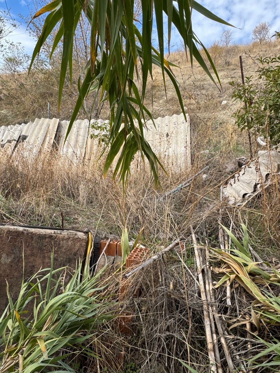 Restos de obra, ladrillos y planchas onduladas entre la maleza en la Cañada Real