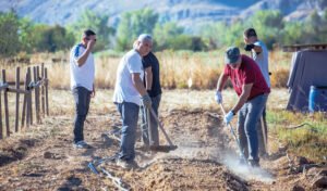 Cuatro personas trabajan la tierra con azadas en el parque agroecológico Soto del Grillo
