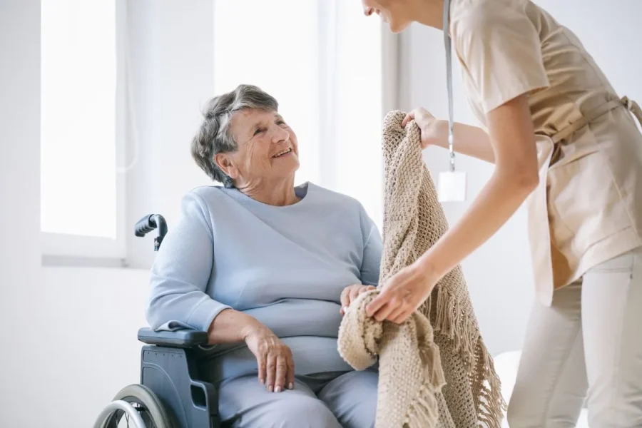 aportación estatal al sistema de dependencia