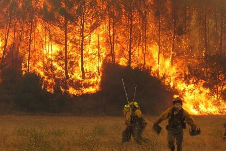 Los incendios en Madrid, un problema recurrente con causas humanas