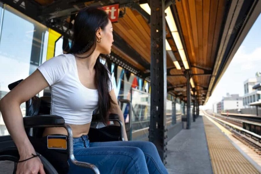 Cambia el término "disminuidos" por "personas con discapacidad" y compromete por ley la "protección especial" de sus derechos.