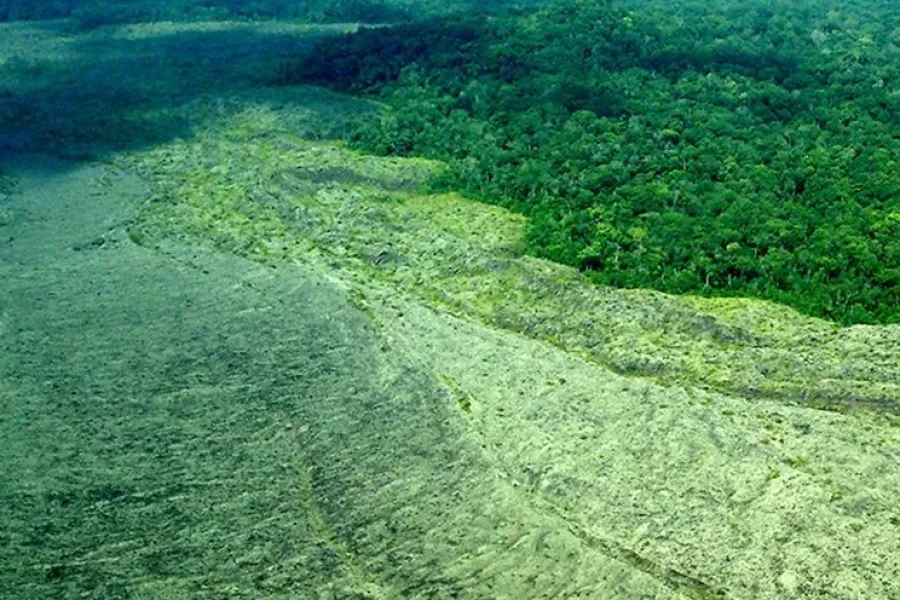 Zona natural en la República Democrática del Congo | Foto de ONU Medio Ambiente