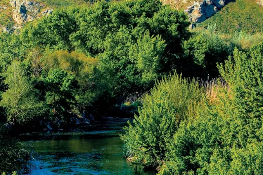 Agenda Urbana: Rivas apuesta por el turismo