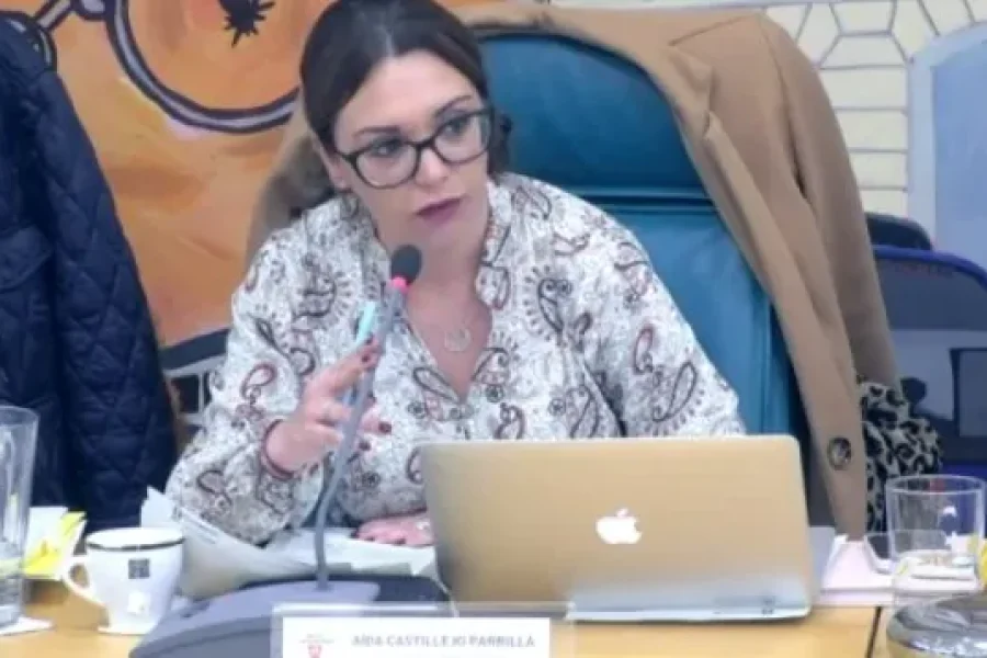 Castillejo constituye una comisión de asesoramiento al gobierno