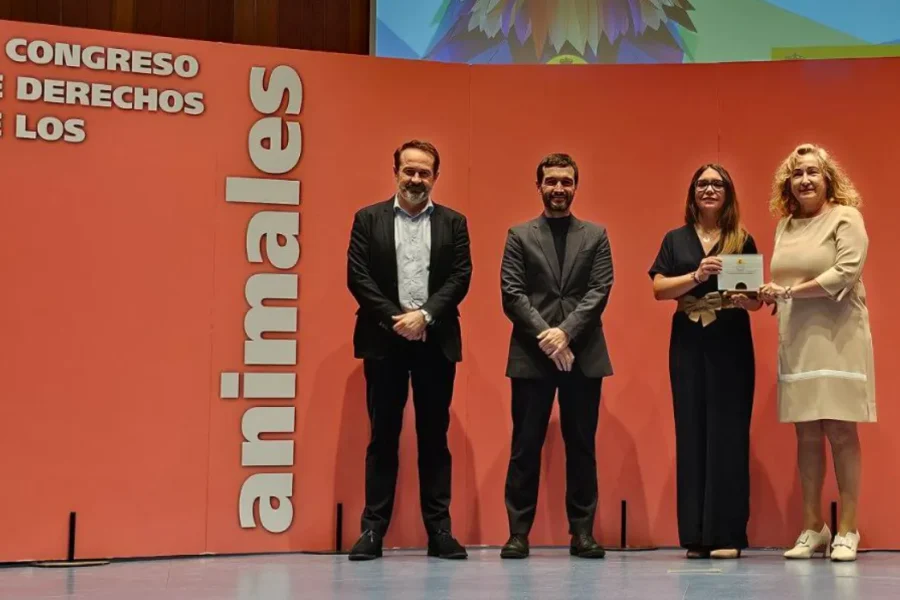 Rivas es galardonada por el Ministerio de Derechos Sociales