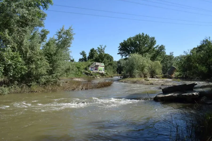 Al fondo, restos de las pilonas que sujetaban el antiguo puente del Tren de la Azucarera sobre el río Henares