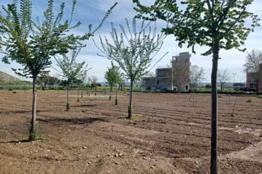 Banco-semillas-IMIDRA_02