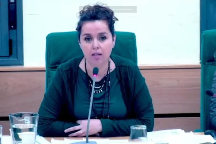 Mónica Carazo en el pleno de enero