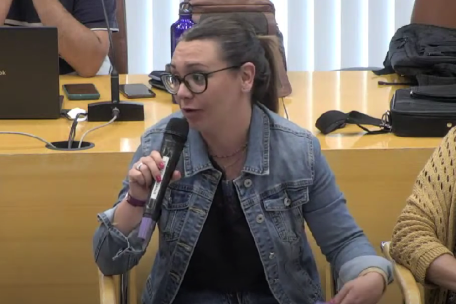 Aída Castillejo presentando los objetivos de la Agenda Urbana