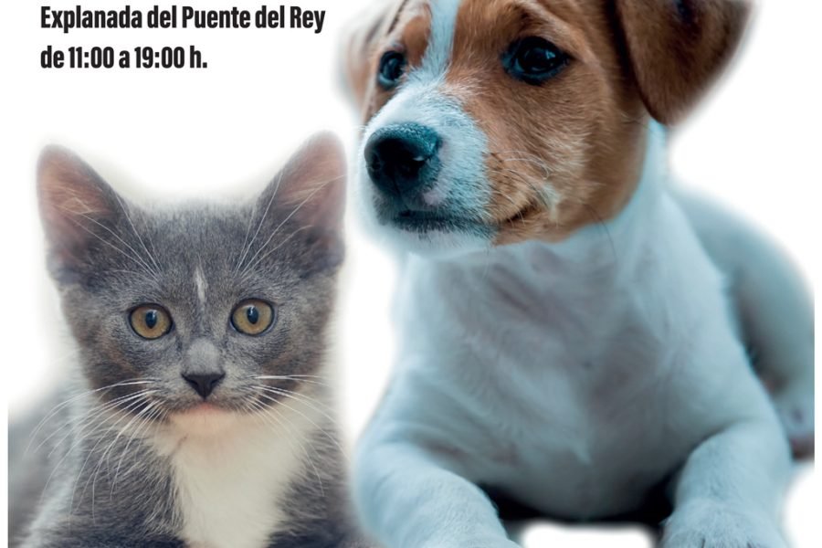 Cartel del XXI Salón para la Adopción de Animales de Compañía de la Comunidad de Madrid