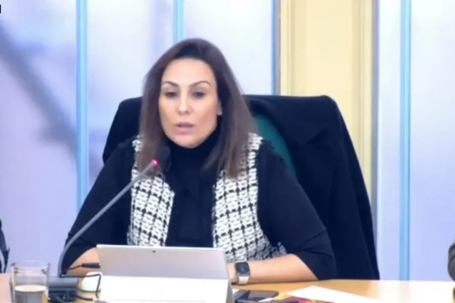 Vox instiga la xenofobia con bulos sobre niños