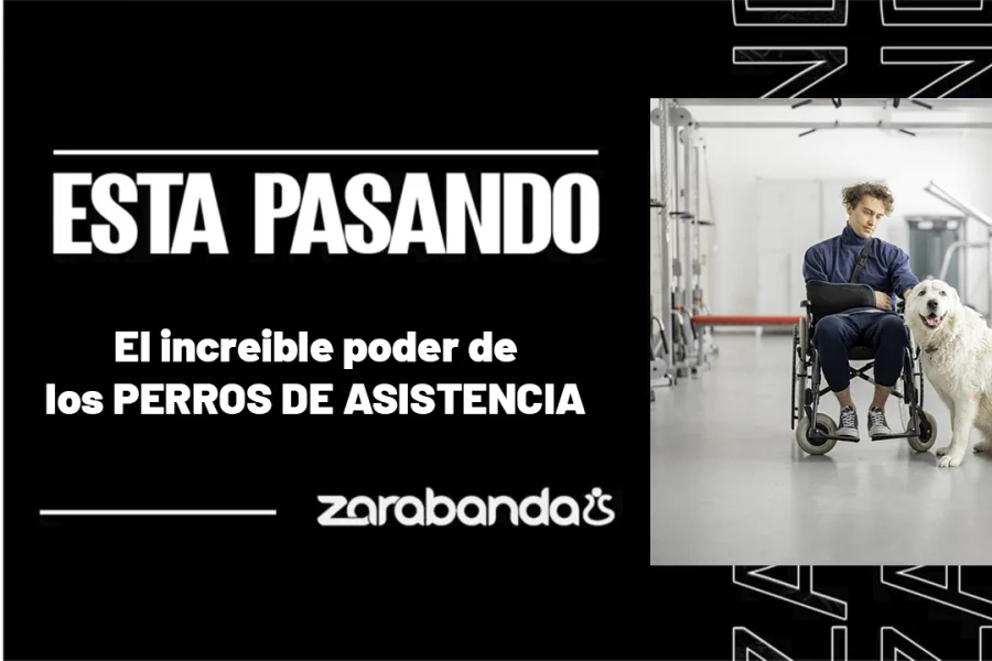 ESTA-PASANDO-PERROS-ASISTENCIA